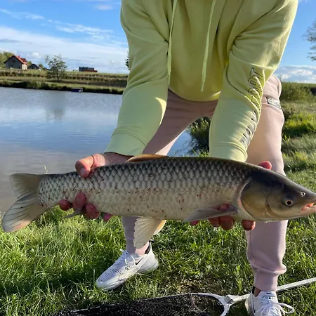 Διαμέρισμα Nad Malowniczym Stawem / Raj Dla Wedkarzy / Mazury *